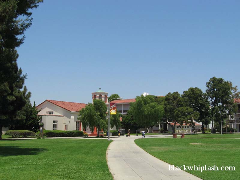 long beach city college