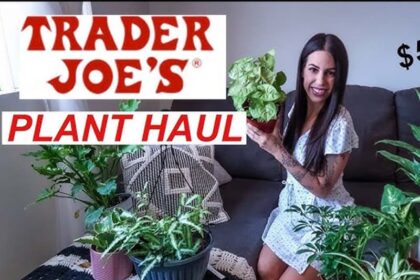 r houseplants at trader joe's